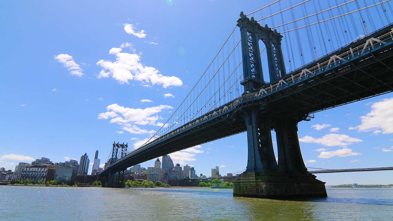 NYC skyline cruise with bridge views